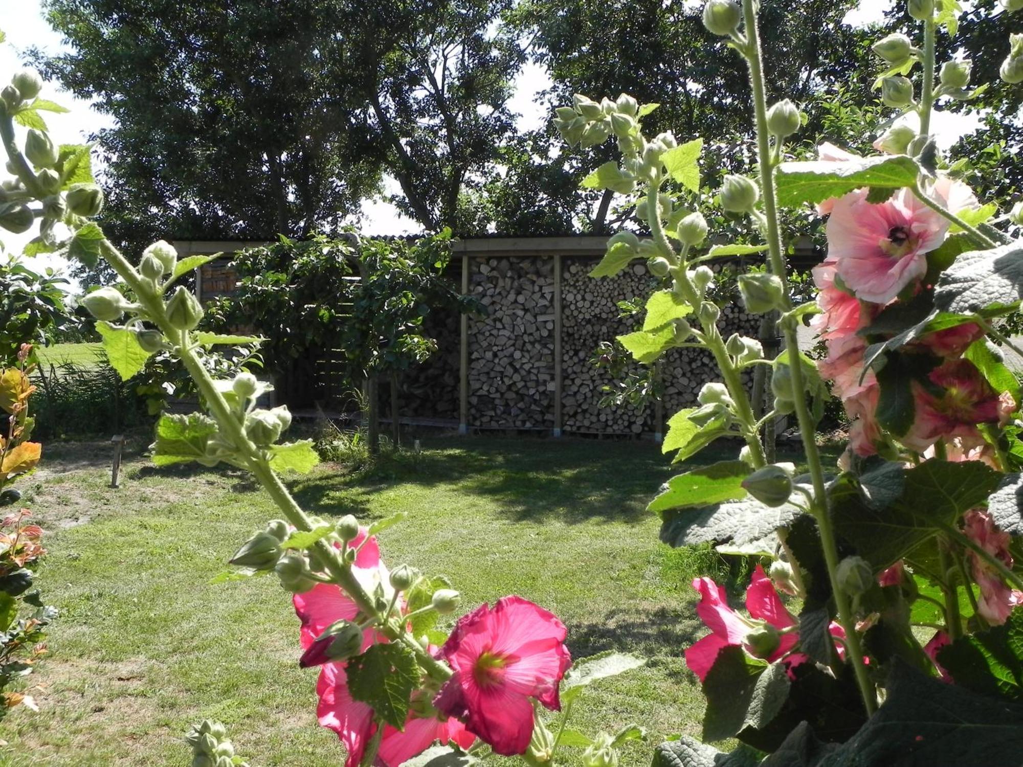 Appels En Peren Bed And Breakfast Breezand Room photo